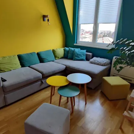 N&d Colorfull